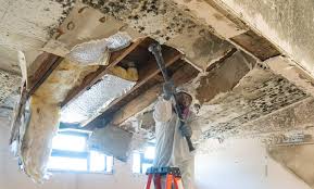 Best Water Damage & Mold Remediation  in South Padre Island, TX